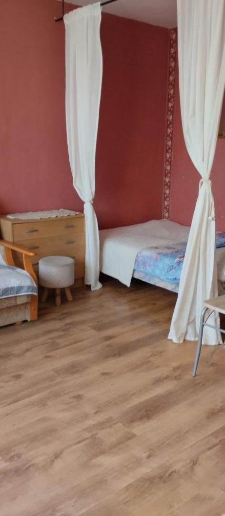 Apartament Z Baldachimem I Pieknym Widokiem Olsztyna オルシュティン エクステリア 写真